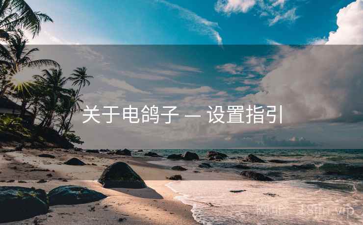关于电鸽子 — 设置指引