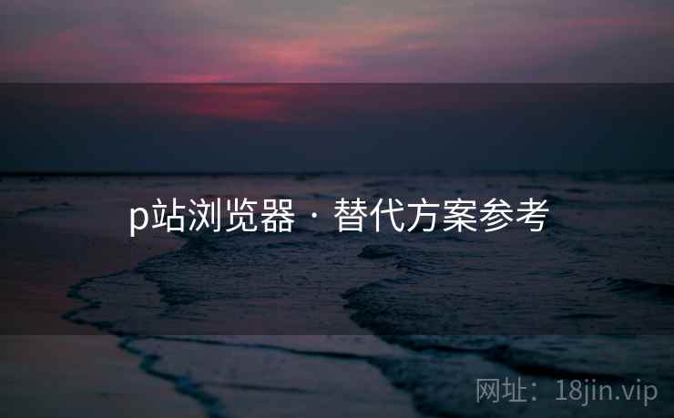 p站浏览器 · 替代方案参考