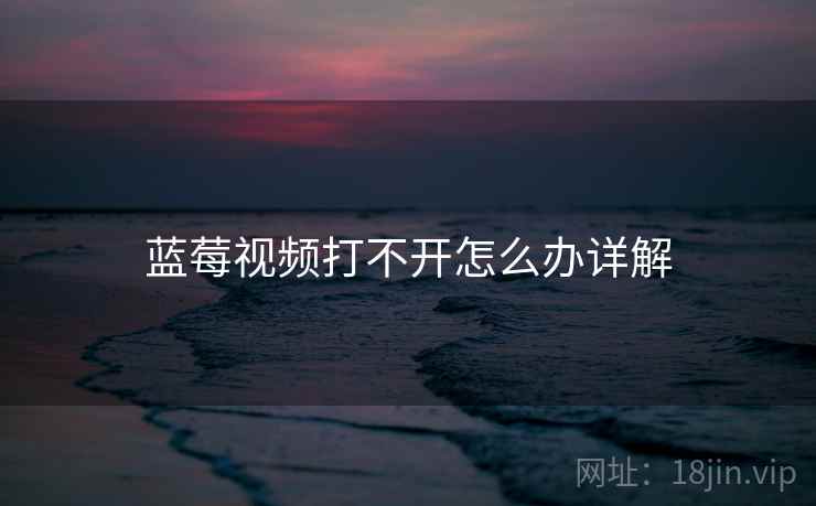 蓝莓视频打不开怎么办详解